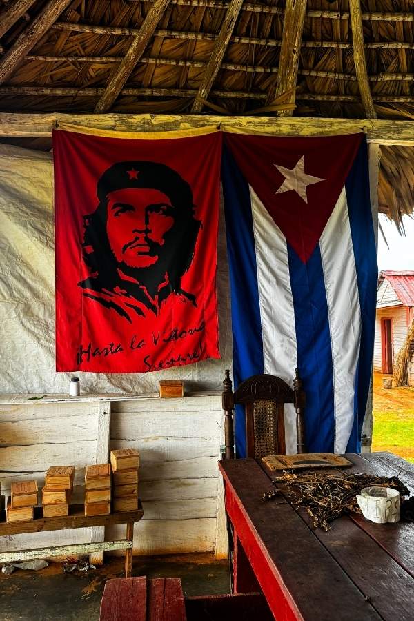 Foto a Viñales, Cuba, immersa nelle piantagioni di tabacco, celebri per la produzione dei famosi sigari cubani. Sullo sfondo, la bandiera cubana e un'icona di Che Guevara, illuminati da un vivace sfondo rosso, evocano la ricca cultura e la storia di Cuba.